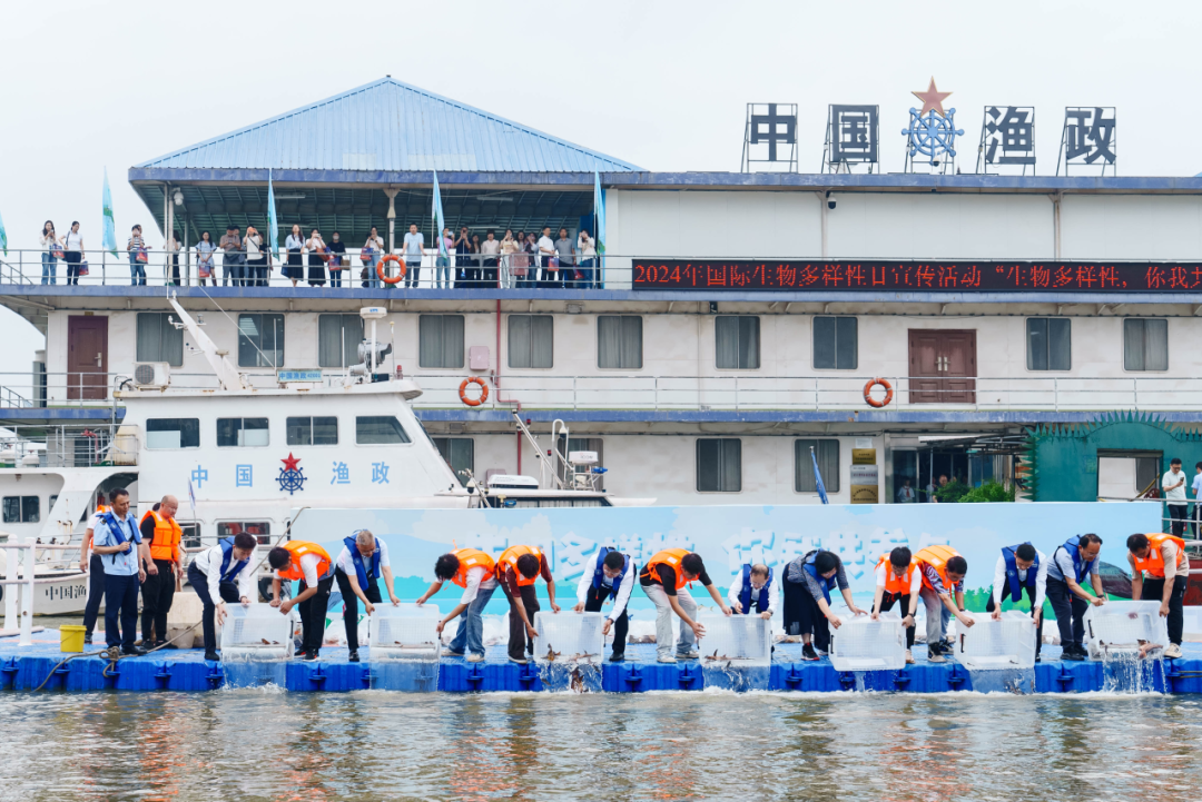 生物多样性你我共参与！武汉市举办2024年国际生物多样性日宣传活动(图8)