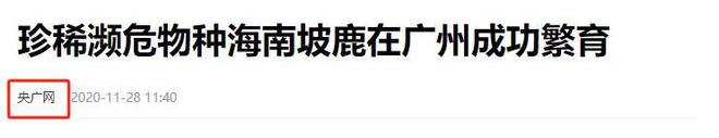 一度仅剩26头2018年巡护员在灌木丛中捡到出生仅3天(图1)