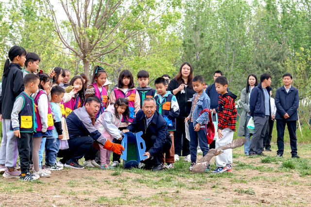 再添8种野生鸟类北京鸟类数量已经达到527种(图2)