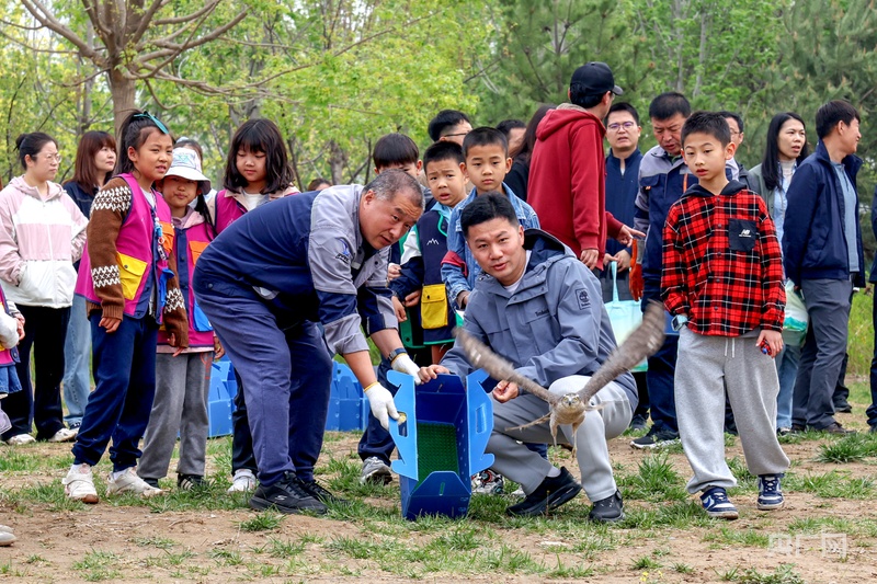 北京市陆生野生动物种类再增8种(图2)