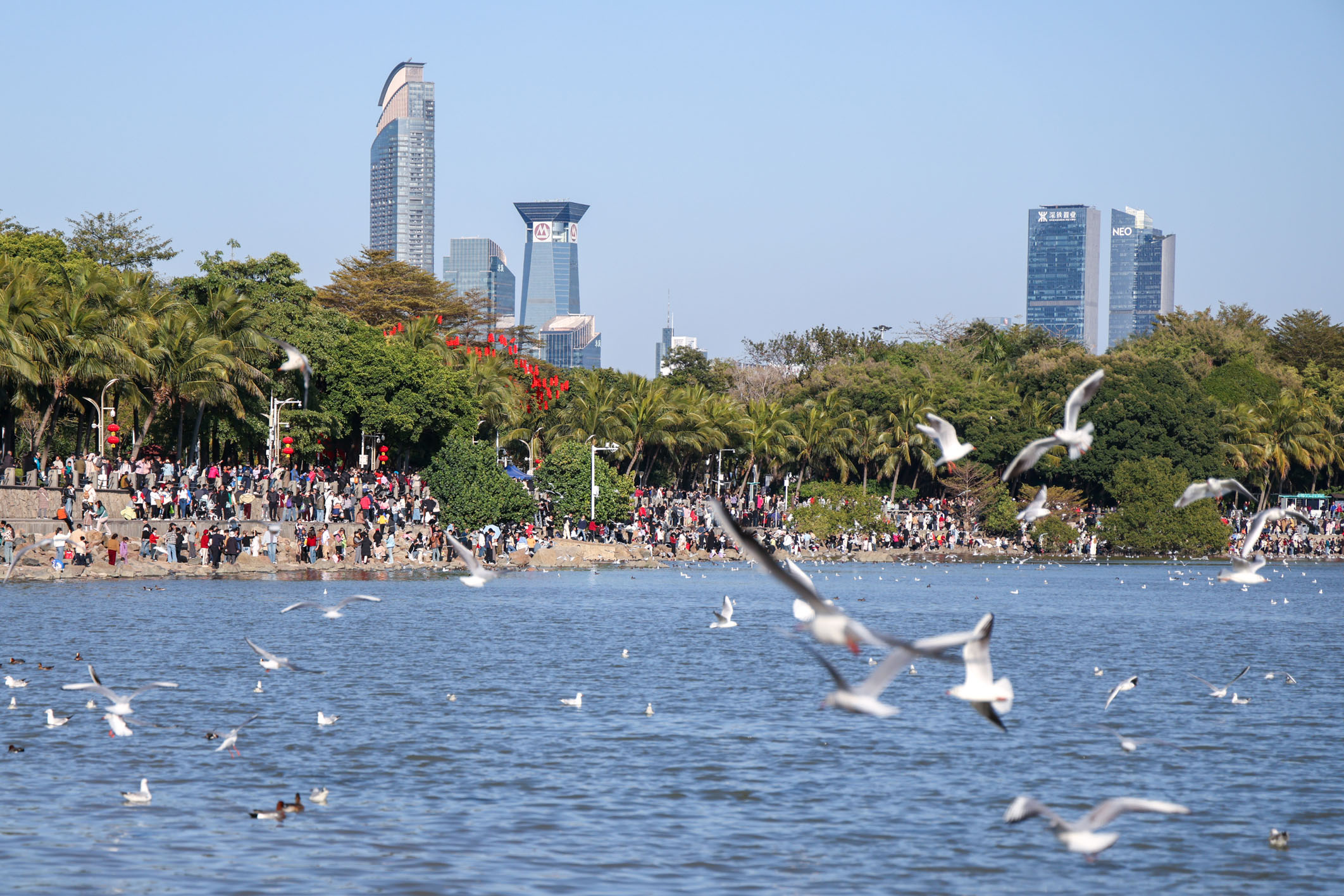 深圳如何做到“又快又好”“又大又美”(图1)