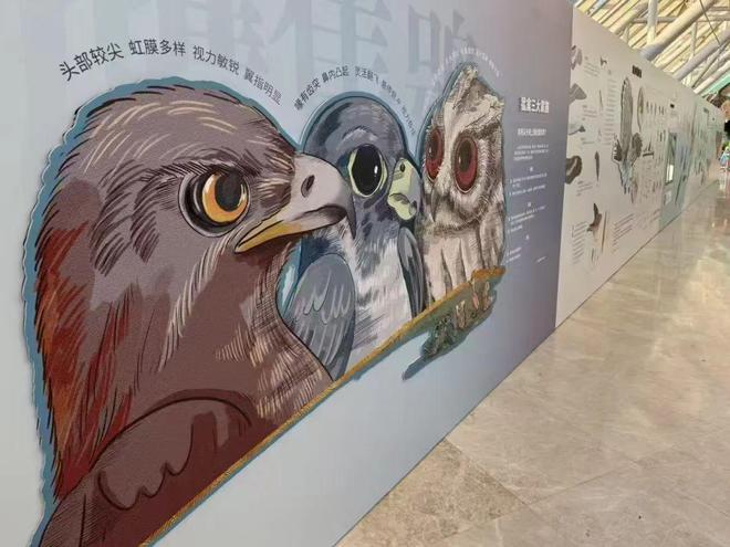 IFAW“做大自然的‘野’朋友”来天津啦！(图2)