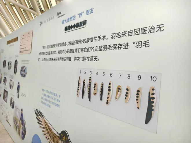 IFAW“做大自然的‘野’朋友”来天津啦！(图1)