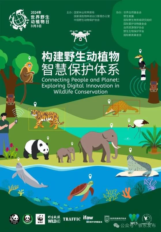 解码野生动植物生存密码：全球生物多样性保护的深层逻辑(图1)