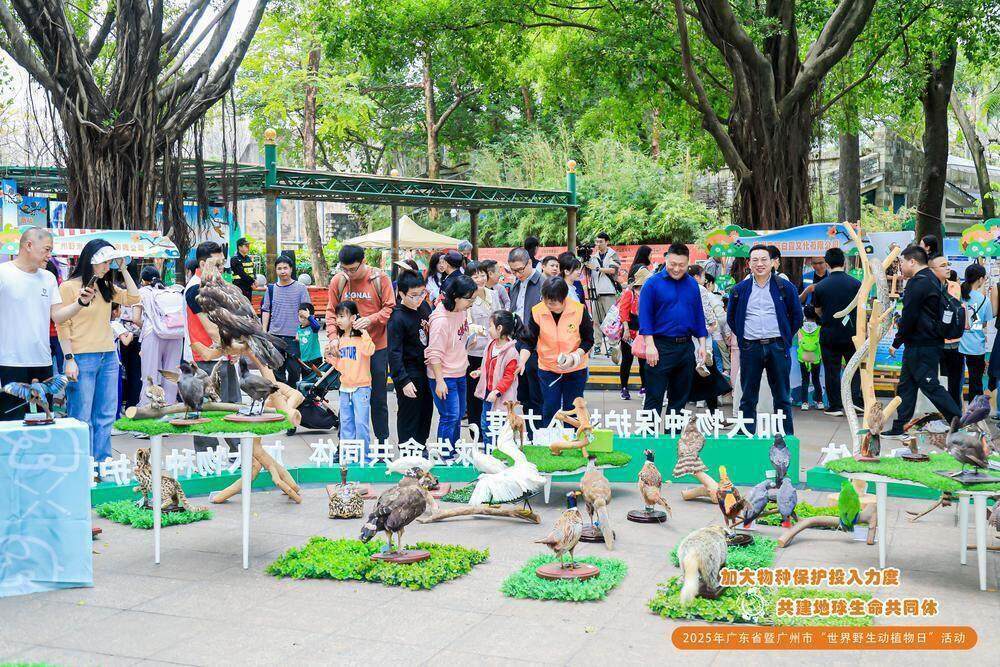 图集 绿美广州齐行动！保护野生动植物广州这样干→(图5)