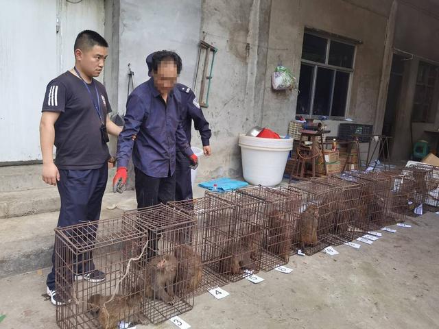 避免“双向伤害”生态补偿和行刑衔接能否让人与野生动物共享安宁？丨两会圆桌会(图5)