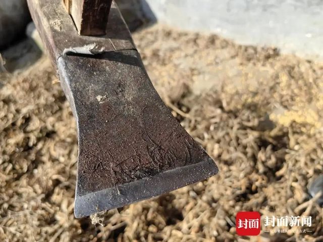 避免“双向伤害”生态补偿和行刑衔接能否让人与野生动物共享安宁？丨两会圆桌会(图3)