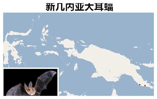 曾经让人们相信的9种早已灭绝的动物但实际上却依然存活着(图3)