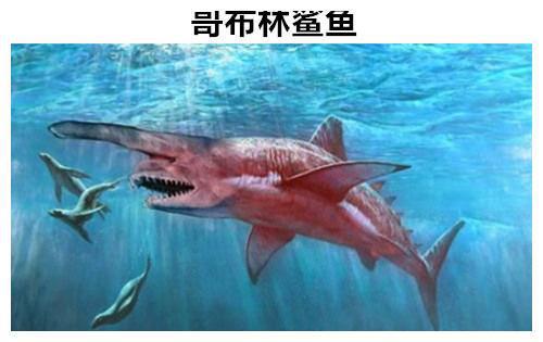 曾经让人们相信的9种早已灭绝的动物但实际上却依然存活着(图6)