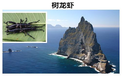 曾经让人们相信的9种早已灭绝的动物但实际上却依然存活着(图5)