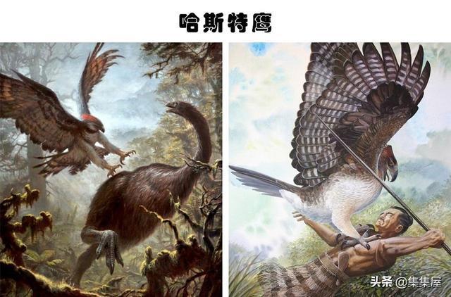 可怕的灭绝生物：我们或许应该庆幸的7种已经灭绝的生物(图1)