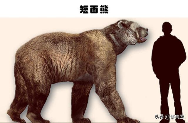 可怕的灭绝生物：我们或许应该庆幸的7种已经灭绝的生物(图3)