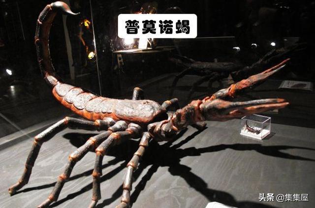 可怕的灭绝生物：我们或许应该庆幸的7种已经灭绝的生物(图6)