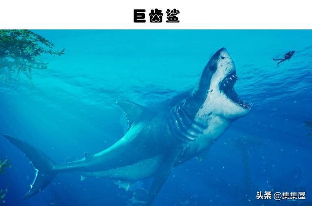 可怕的灭绝生物：我们或许应该庆幸的7种已经灭绝的生物(图5)
