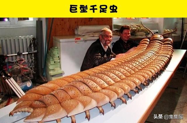 可怕的灭绝生物：我们或许应该庆幸的7种已经灭绝的生物(图10)