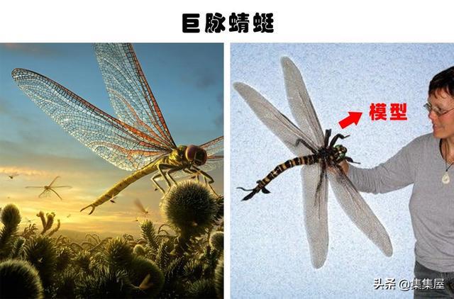 可怕的灭绝生物：我们或许应该庆幸的7种已经灭绝的生物(图8)