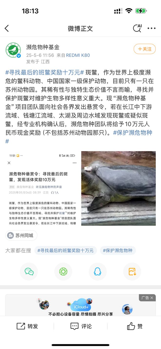 国内一民间公益组织十万元悬赏寻找斑鳖团队负责人回应(图1)