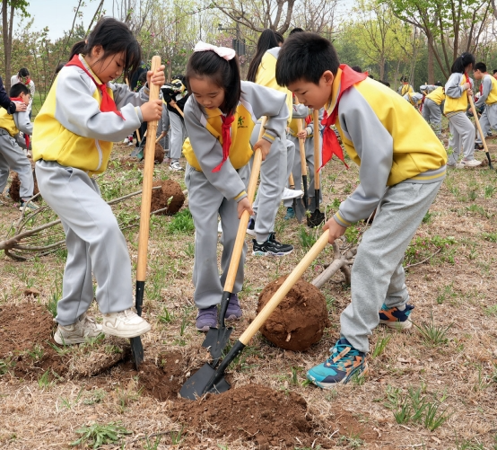 习近平与美丽中国建设丨“深入推进大规模国土绿化行动”——首都干部群众访谈录(图3)