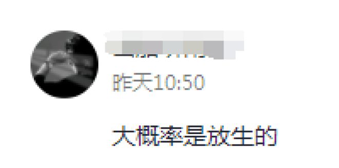 谜题揭晓！西宁湟水惊现奇怪动物竟是娃娃鱼(图3)