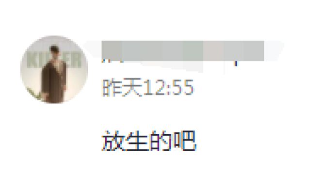谜题揭晓！西宁湟水惊现奇怪动物竟是娃娃鱼(图2)