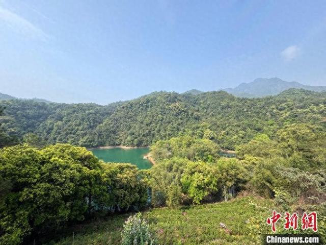 鼎湖山自然保护区：守护中华穿山甲 绘制全球生物地图(图1)