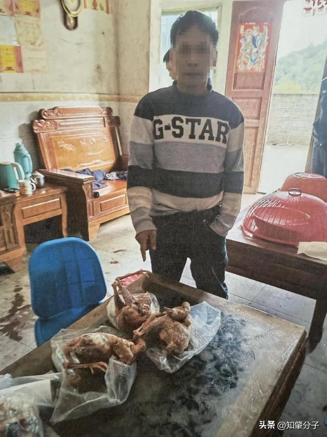 都是“野味”惹的祸！肇庆一村民被罚款225000元(图2)