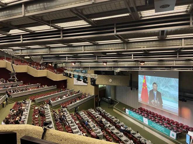 织密保护网 守好生命线世界候鸟日(图3)