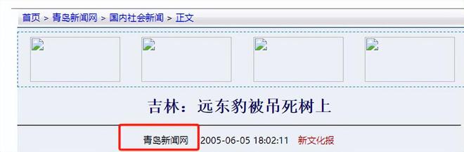 中国境内不足80只！2005年一只被吊死在树上(图2)