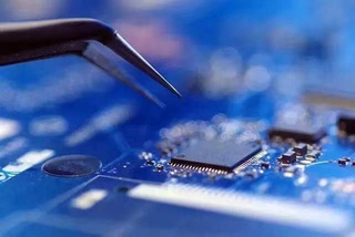 【生物多样性保护宣传周】全省首发！广东第一份综合性生物多样性报告出炉(图1)