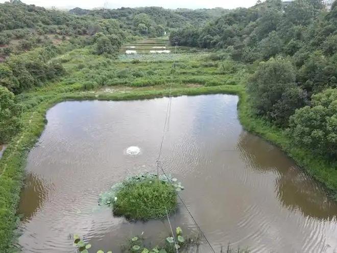 极危物种！2023年安徽农民捕1000多只养肥后再卖被罚款判刑(图3)