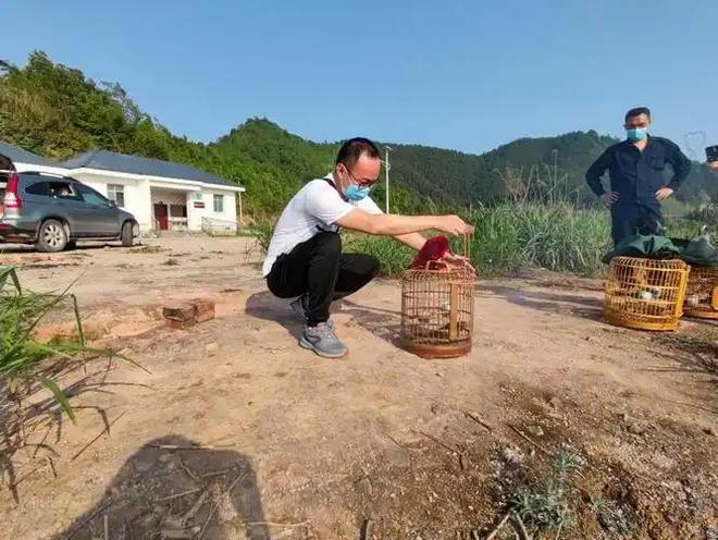 极危物种！2023年安徽农民捕1000多只养肥后再卖被罚款判刑(图6)