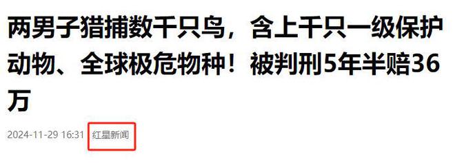极危物种！2023年安徽农民捕1000多只养肥后再卖被罚款判刑(图2)