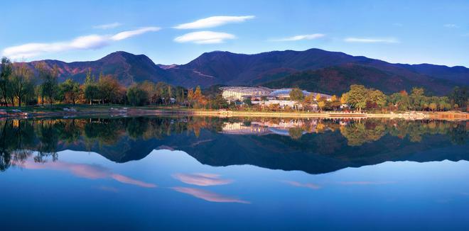 全国200多种珍稀濒危野生动物进入恢复性增长阶段(图4)