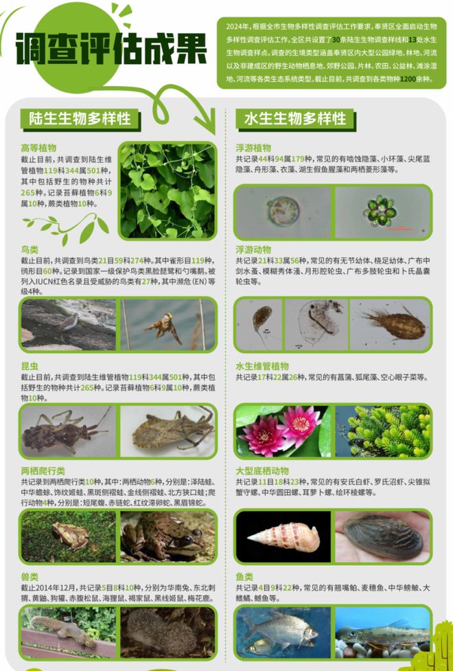 已发现2种上海新记录！奉贤“生物户口本”首次大公开→(图1)