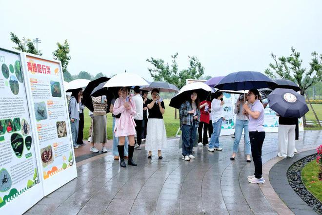 已发现2种上海新记录！奉贤“生物户口本”首次大公开→(图4)