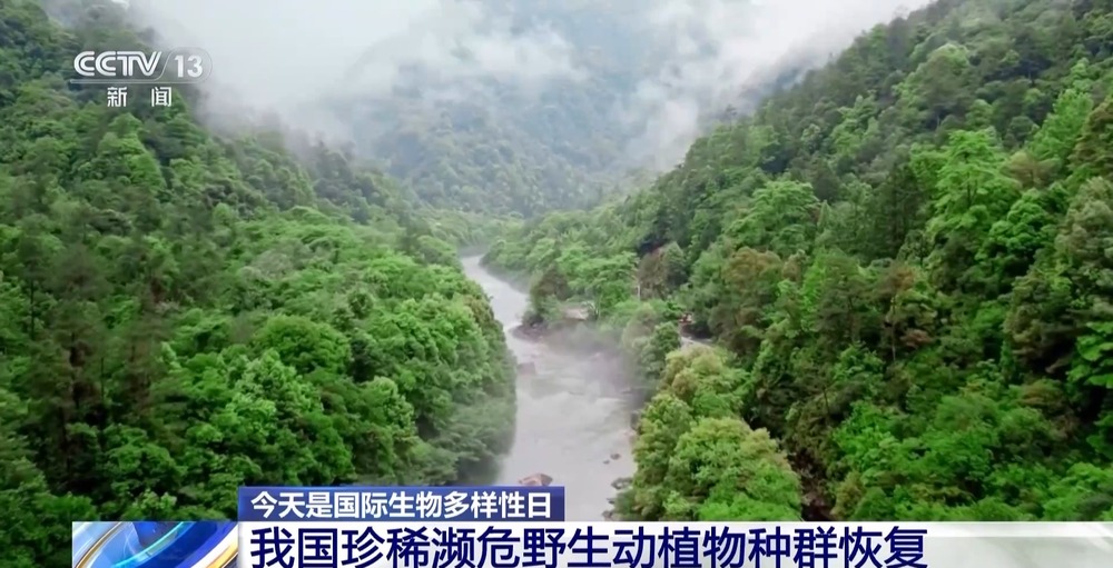 我国生物多样性保护成效如何？这份“成绩单”亮了(图2)