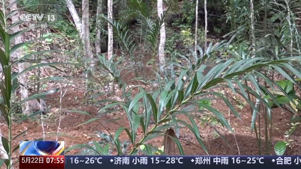 我国生物多样性保护成效如何？这份“成绩单”亮了(图6)