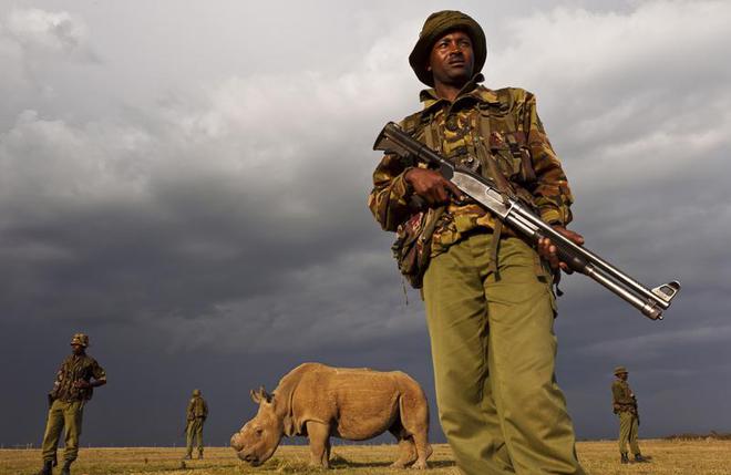 全球仅剩2只！最后一只公的还被实施安乐死仅剩2只母的咋办？(图3)