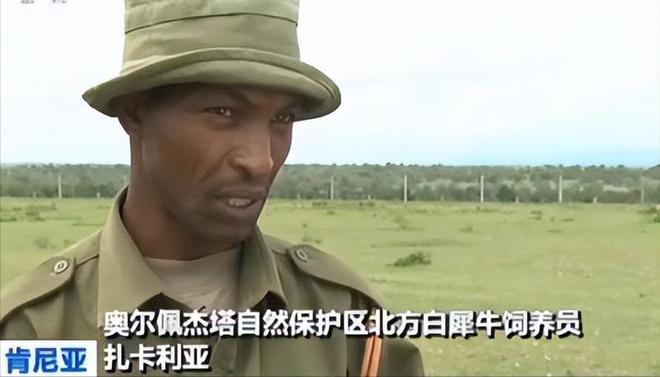 全球仅剩2只！最后一只公的还被实施安乐死仅剩2只母的咋办？(图10)