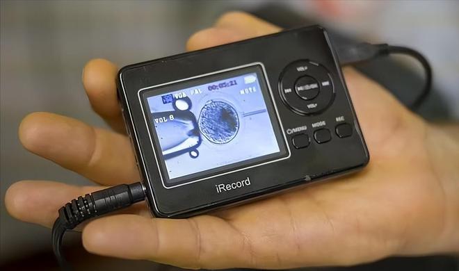 全球仅剩2只！最后一只公的还被实施安乐死仅剩2只母的咋办？(图9)