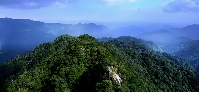 平均每三天发现一个新物种！广东生态“家底”仍在持续丰厚(图1)