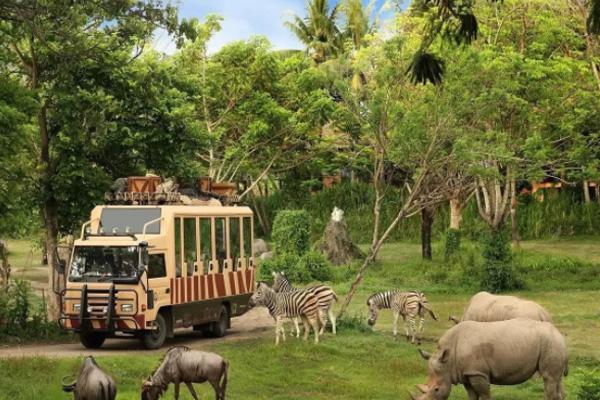 我国生物多样性保护成效显著 200多种野生动物恢复性增长(图1)