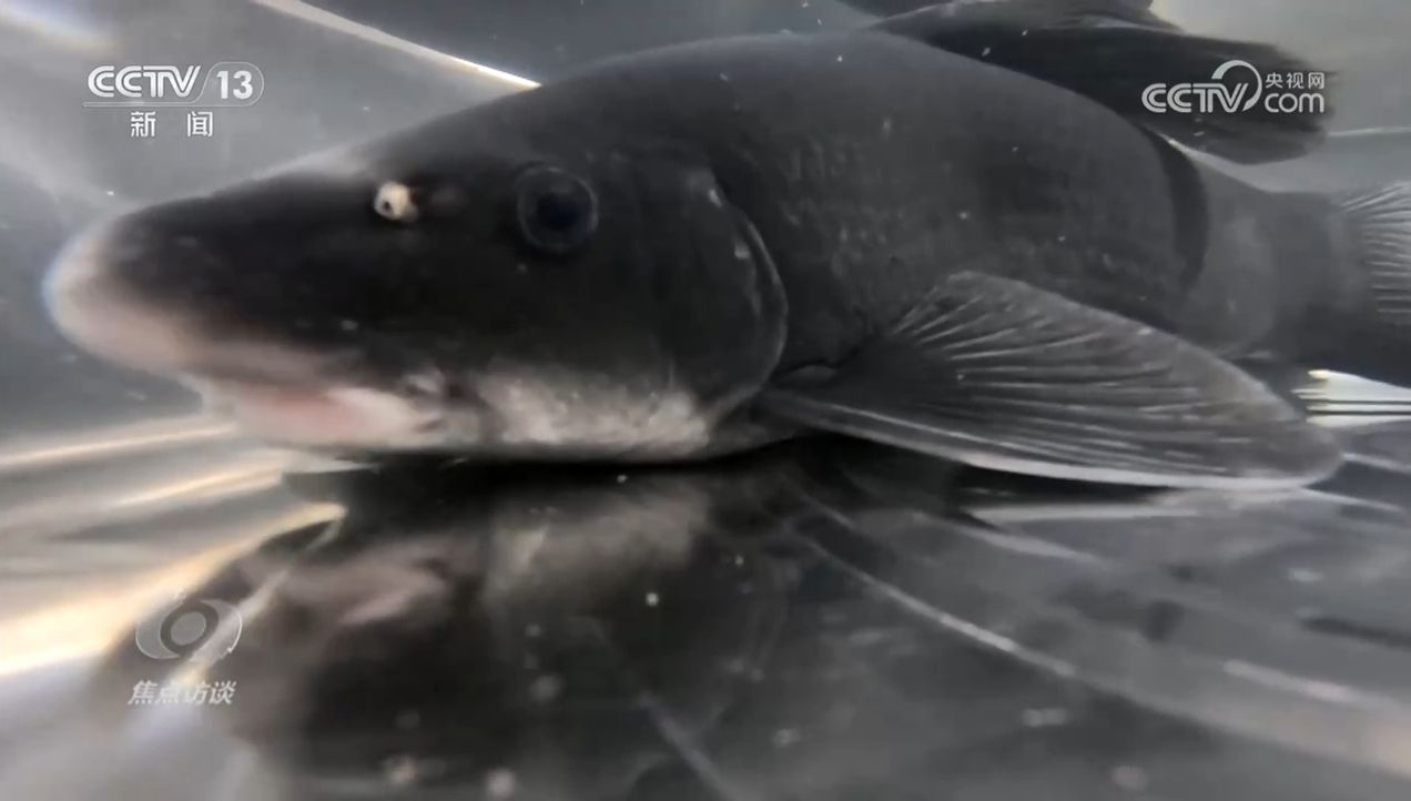 焦点访谈｜生物多样性助力我国经济高质量发展(图2)