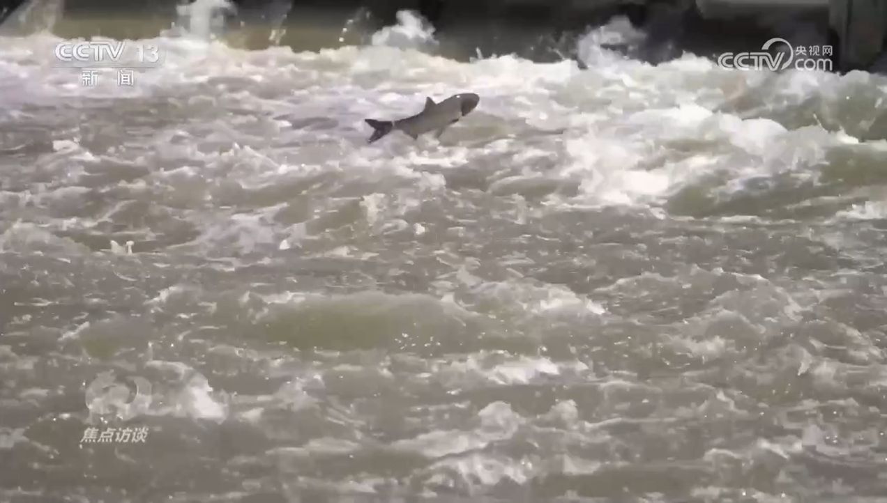 焦点访谈｜生物多样性助力我国经济高质量发展(图3)