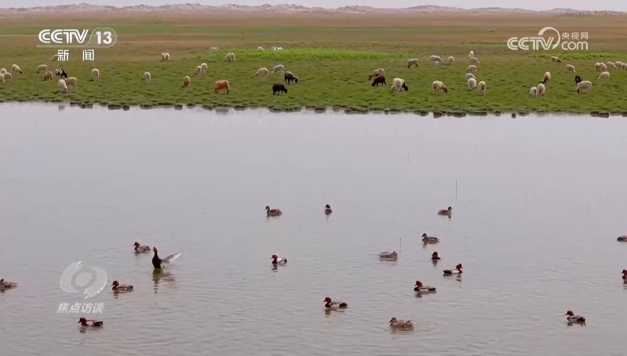 焦点访谈｜生物多样性助力我国经济高质量发展(图4)