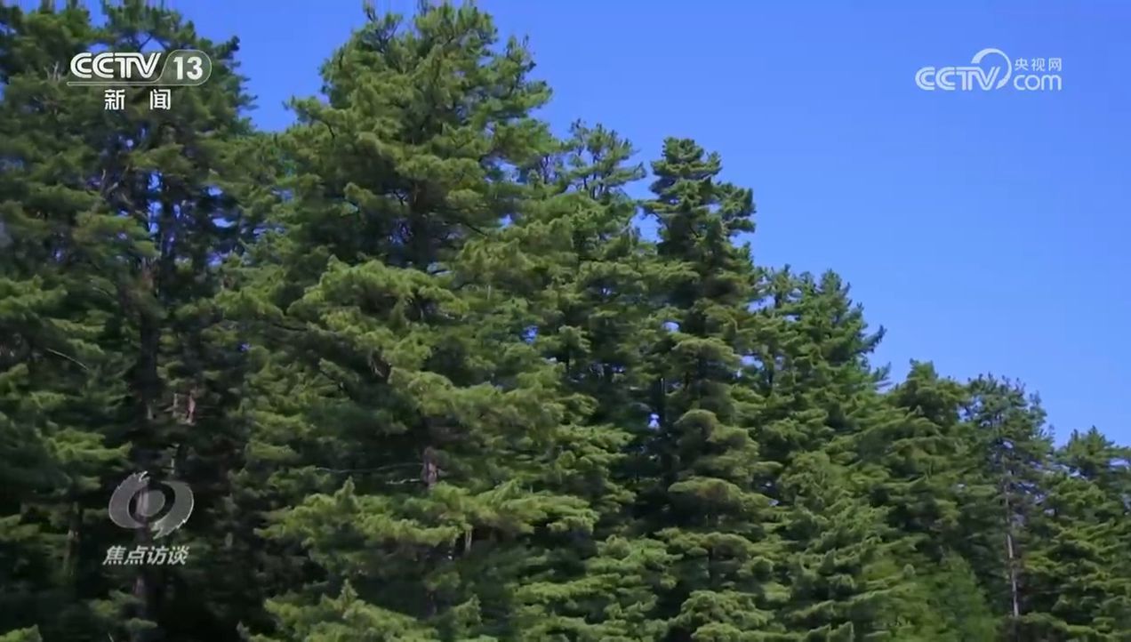 焦点访谈｜生物多样性助力我国经济高质量发展(图7)