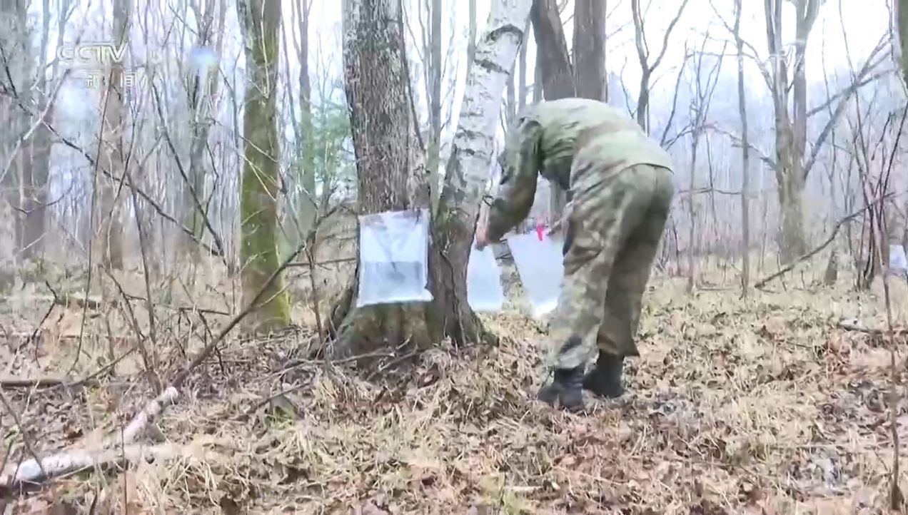 焦点访谈｜生物多样性助力我国经济高质量发展(图13)