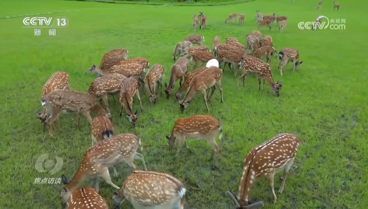 焦点访谈｜生物多样性助力我国经济高质量发展(图12)