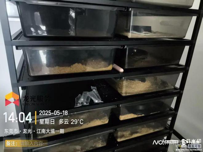 天哪！25楼发现100多条蛇！小区业主：真的怕了(图2)