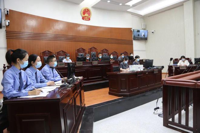 国际生物多样性日 武夷山市检察院：小案件里的大生态(图1)